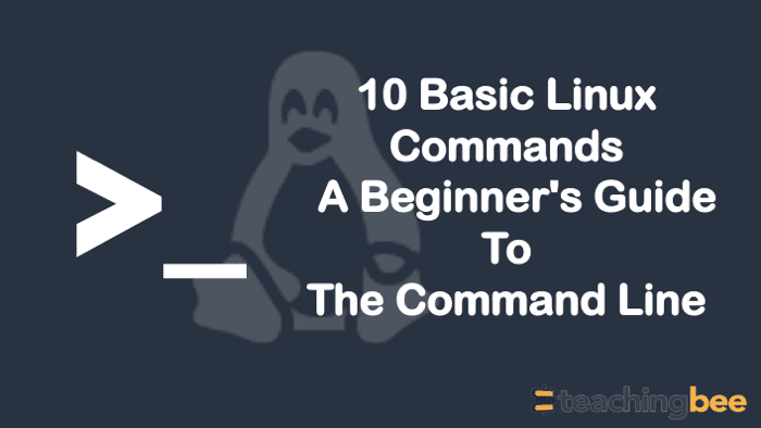 basic linux commands
