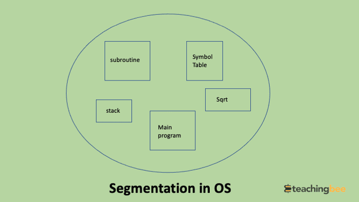 segmentation