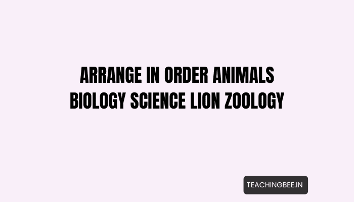 Arrange In Order Animals Biology Science Lion Zoology